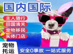 衢州机场物流国际宠物托运 【国